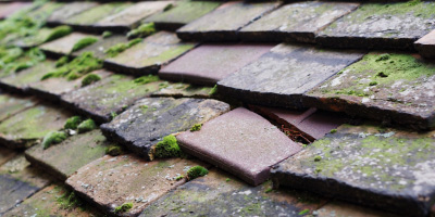 Chailey roof repair costs